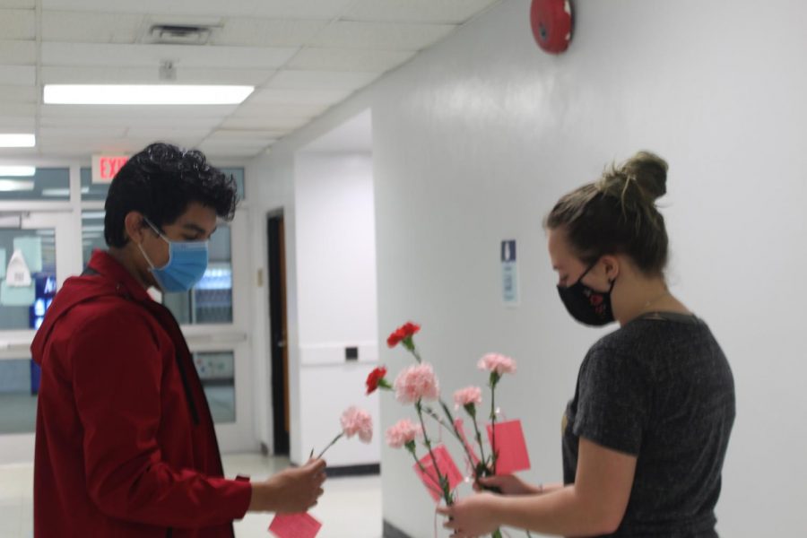 Seniors Alex Morales and Liz Barker sort carnations in B-wing 
before delivering them to classrooms on Feb. 12. 