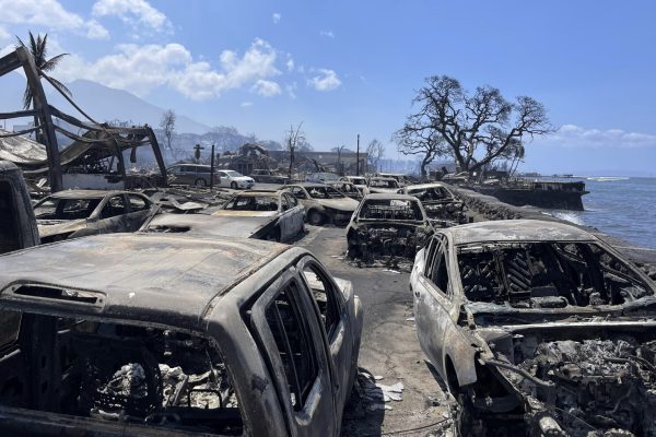 In this photo provided by Tiffany Kidder Winn, burned-out cars sit after a wildfire raged through Lahaina, Hawaii, on Wednesday, Aug. 9, 2023. The scene at one of Mauis tourist hubs on Thursday looked like a wasteland, with homes and entire blocks reduced to ashes as firefighters as firefighters battled the deadliest blaze in the U.S. in recent years. (Tiffany Kidder Winn via AP)