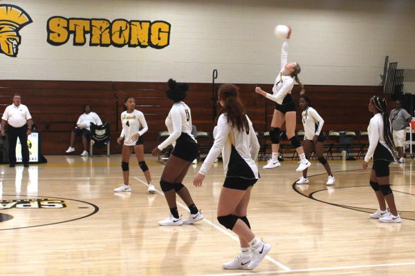 Junior Savana Ferguison rises up to spike the ball across the court. The volleyball team was on a good comeback streak to attempt to win the game.