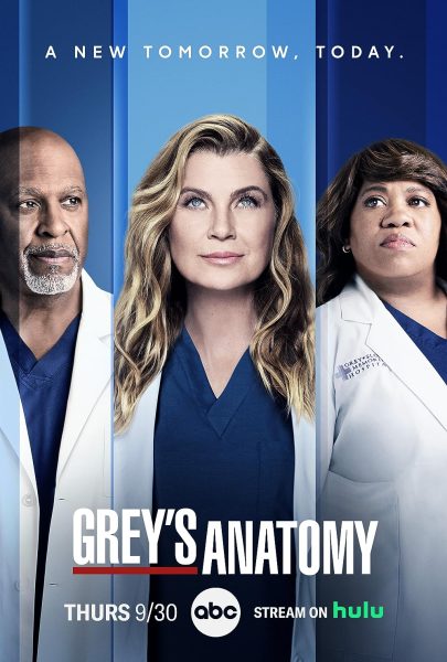 The Poster for the hit series greys anatomy 