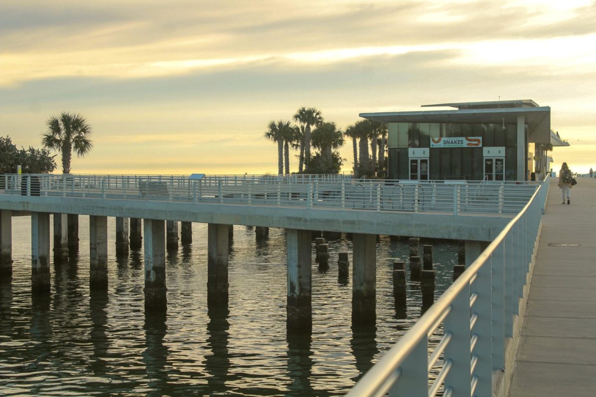 The Tampa Bay Watch Discovery Center is at the center of the St. Petersburg Pier.