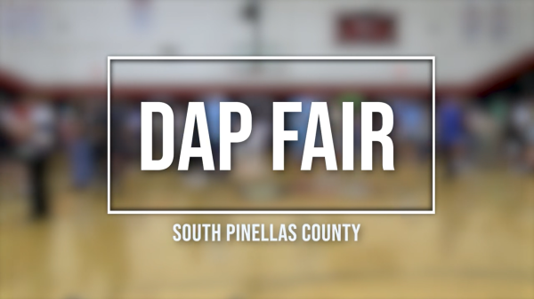 Pinellas County DAP Fair Highlights