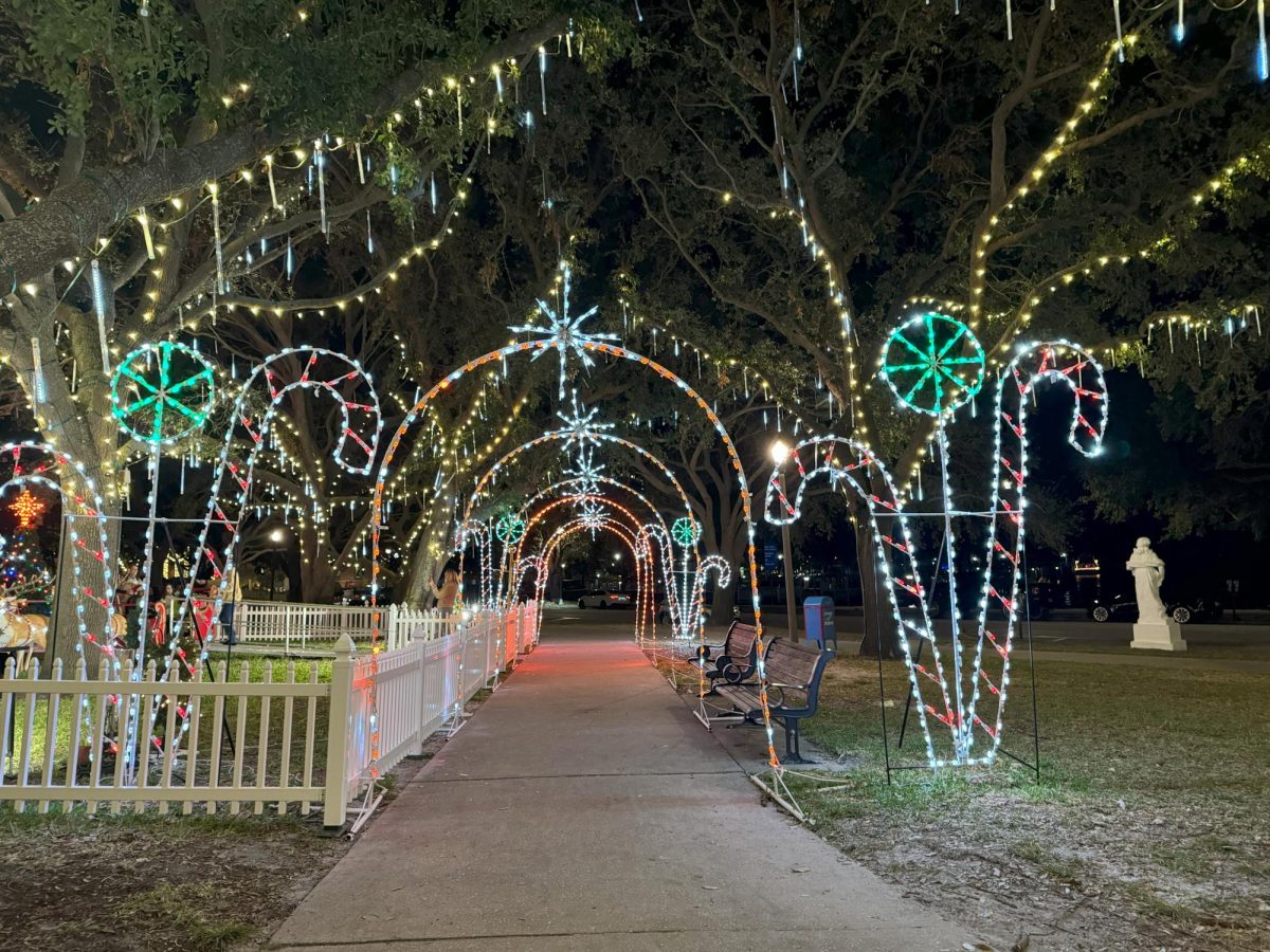 Christmas lights in Downtown St. Pete.