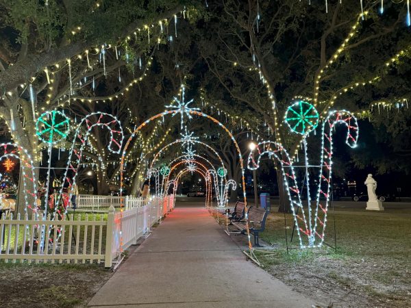 Christmas lights in Downtown St. Pete.