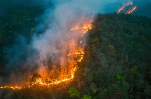 Photo of The California Wildfires taken form Shutterstock. 