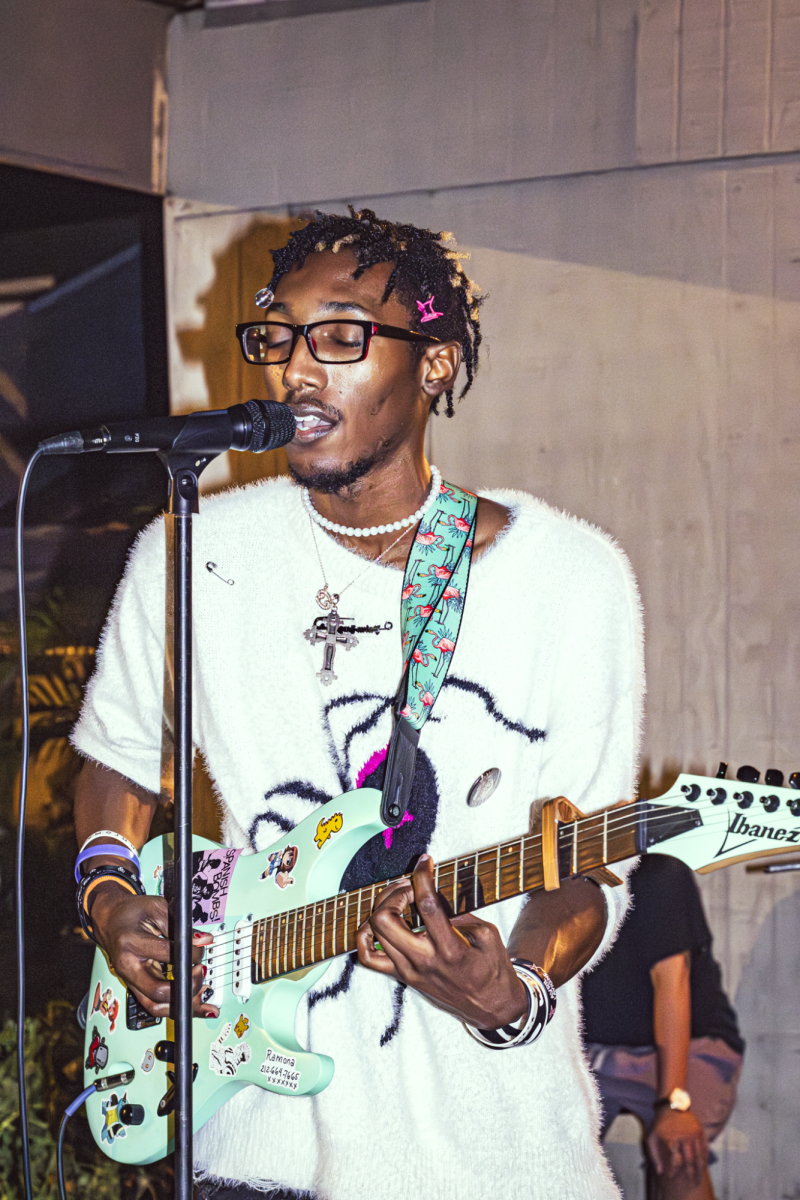 Don't Pet the Dionaur performing in Lutz on Sept. 20 at a House Show. Three days before Don't Pet teh Dinosaur had reazled their first EP. 