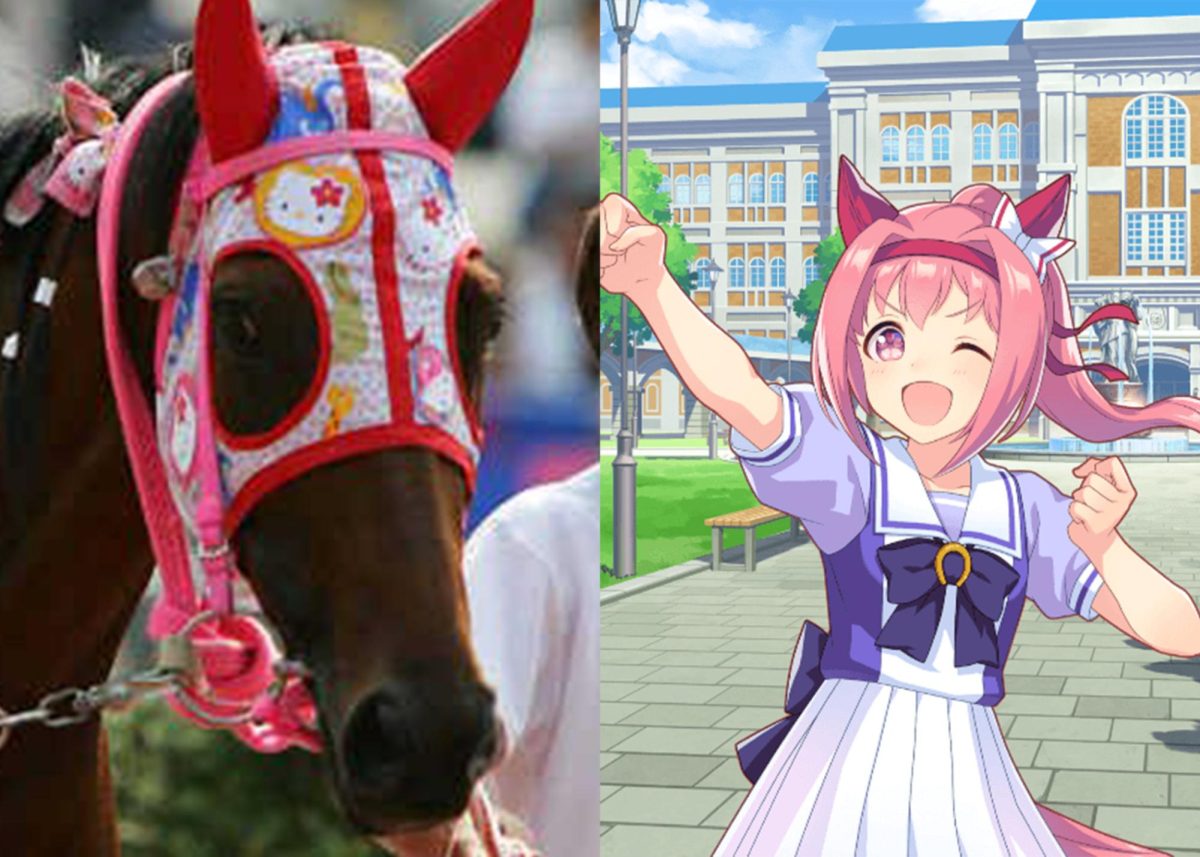 Famous racehorse Haru Urara passes away