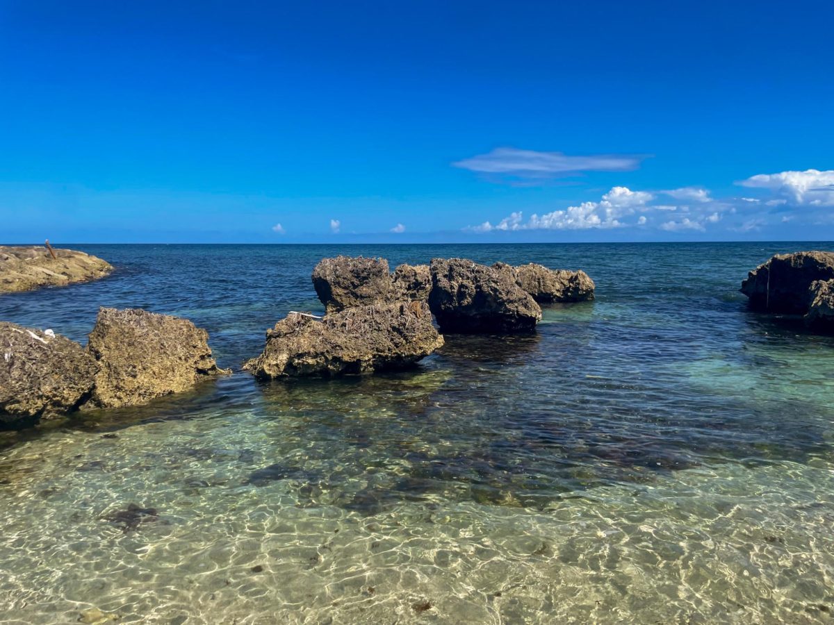 A scenic view of Jamaica's oceans on a beach Shore on March 15. Sophomore Alyssa White visited Jamaica over the spring break.