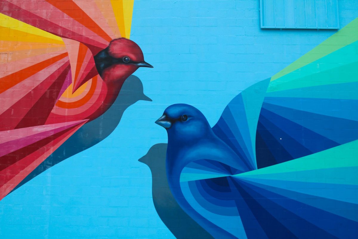 Cecilia Lueza's mural "Encounter" displayed on Central Ave, St. Petersburg. Painted in 2018 and restored in 2023, the artwork features two birds, one in red, orange, and gold, and the other in blue and green.